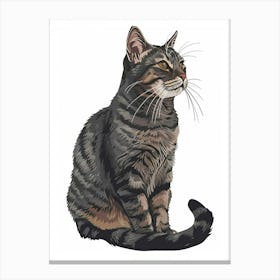 American Wirehair Cat Clipart Illustration 1 Canvas Print