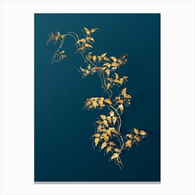 Vintage Bridal Creeper Botanical in Gold on Teal Blue n.0298 Canvas Print
