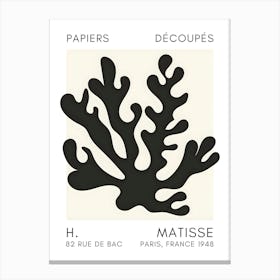 H Matisse 62 Canvas Print