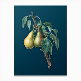 Vintage Lemon Pear Botanical Art on Teal Blue n.0923 Canvas Print