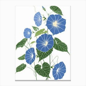 Blue Morning Glory Canvas Print