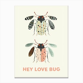 Hey Love Bug Poster 10 Canvas Print