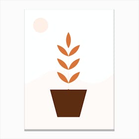 Plant In A Pot Canvas Print