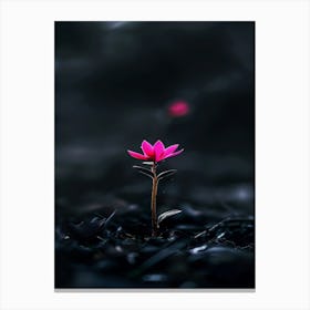 Flower In The Dark 35 Canvas Print