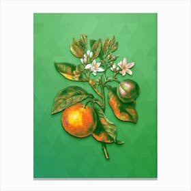 Vintage Bitter Orange Botanical Art on Classic Green n.0629 Canvas Print