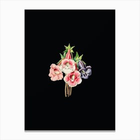 Vintage Gloxinia Flower Botanical Illustration on Solid Black n.0124 Canvas Print