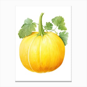 Spaghetti Squash Pumpkin Watercolour Illustration 1 Canvas Print