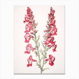 Snapdragons Flower Vintage Botanical 3 Canvas Print