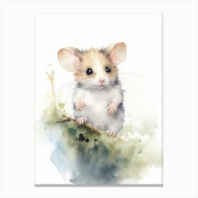 Light Watercolor Painting Of A Western Pygmy Possum 4 Canvas Print