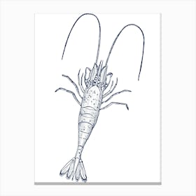 Prawn Canvas Print