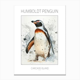 Humboldt Penguin Carcass Island Watercolour Painting 2 Poster Canvas Print