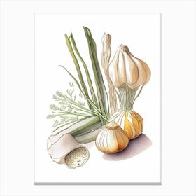 Garlic Spices And Herbs Pencil Illustration 2 Canvas Print