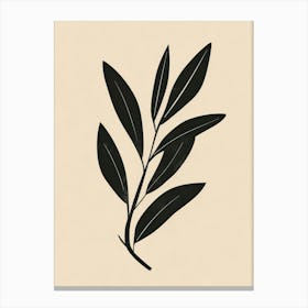 Olive Branch 2 Canvas Print