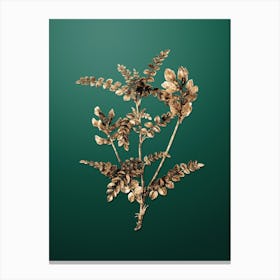 Gold Botanical Calophaca Wolgarica on Dark Spring Green Canvas Print