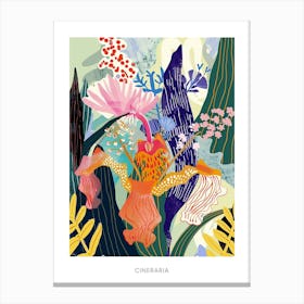 Colourful Flower Illustration Poster Cineraria 3 Canvas Print