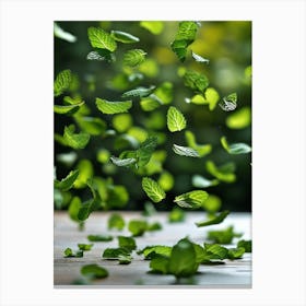 Mint Leaves In The Air Canvas Print