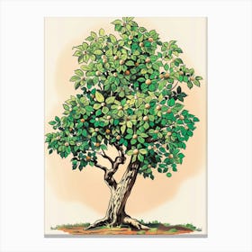Chestnut Tree Storybook Illustration 1 Canvas Print