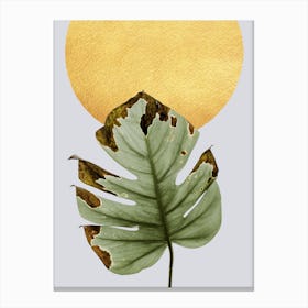 Dancing Leaf in the Sun Canvas Print