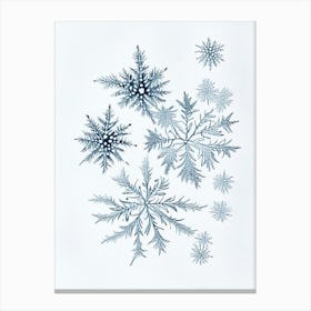 Fernlike Stellar Dendrites, Snowflakes, Quentin Blake Illustration 1 Canvas Print