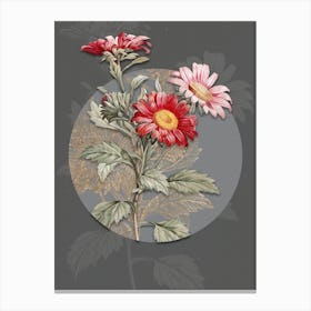 Vintage Botanical Red Aster Flowers on Circle Gray on Gray n.0029 Canvas Print