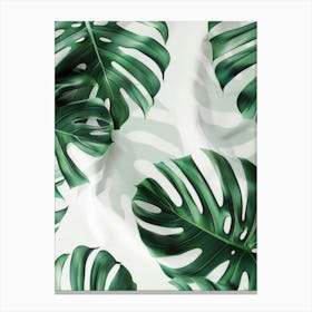 Tropical Leaves On A White Background Canvas Print