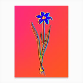 Neon Lady Tulip Botanical in Hot Pink and Electric Blue n.0231 Canvas Print