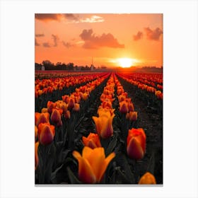 Sunset Over Tulips Toile