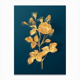 Vintage Pink Agatha Rose Botanical in Gold on Teal Blue n.0352 Canvas Print