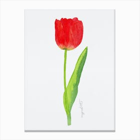 Tulip6 Canvas Print