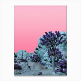 Candy Planet At Joshua Tree National Park In California Canvas Print