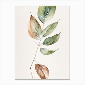 Wild Sarsaparilla Leaf Minimalist Watercolour 2 Canvas Print