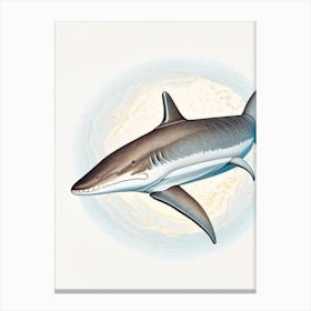 Galapagos Shark 2 Vintage Canvas Print