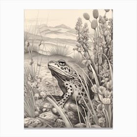 Desert Wave Frog Drawing 4 Canvas Print