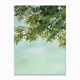 Acropora Digitifera Storybook Watercolour Canvas Print