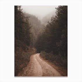 Road Through Dense Forest Canvas Print