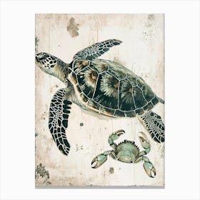 Vintage Sea Turtle & Crab Illustration 2 Canvas Print