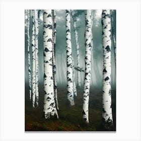 Birch Forest 92 Canvas Print