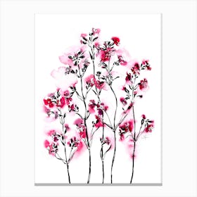Watercolor Pink Spring Flowers On White Background Canvas Print