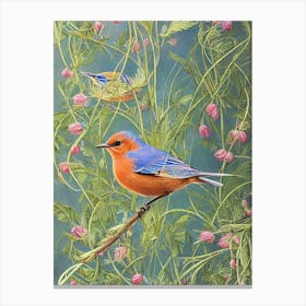 Eastern Bluebird Haeckel Style Vintage Illustration Bird Canvas Print