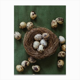 Quail Eggs In Nest Canvas Print