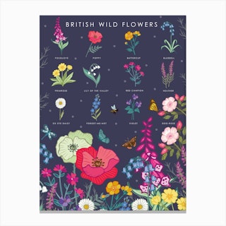 British Wild Flowers Canvas Print
