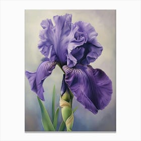 Iris Fl 127 Canvas Print