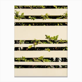 White Fence With Plants Canvas Print
