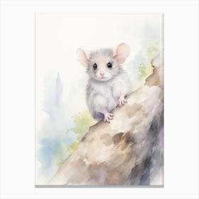 Light Watercolor Painting Of A Mountain Pygmy Possum 3 Canvas Print