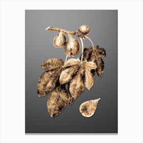 Gold Botanical Fig on Soft Gray n.3910 Canvas Print
