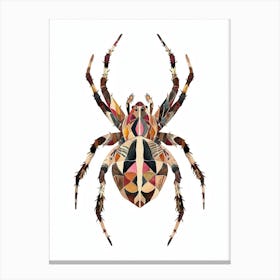 Colourful Insect Illustration Spider 16 Canvas Print
