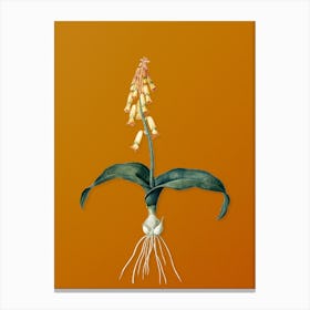 Vintage Watsonia Botanical on Sunset Orange Canvas Print