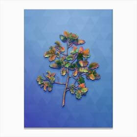 Vintage Kermes Oak Botanical Art on Blue Perennial n.0575 Canvas Print