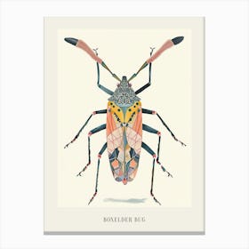 Colourful Insect Illustration Boxelder Bug 2 Poster Canvas Print