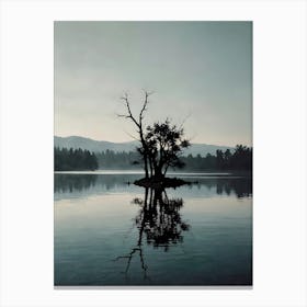 Lone Tree On Island Canvas Print